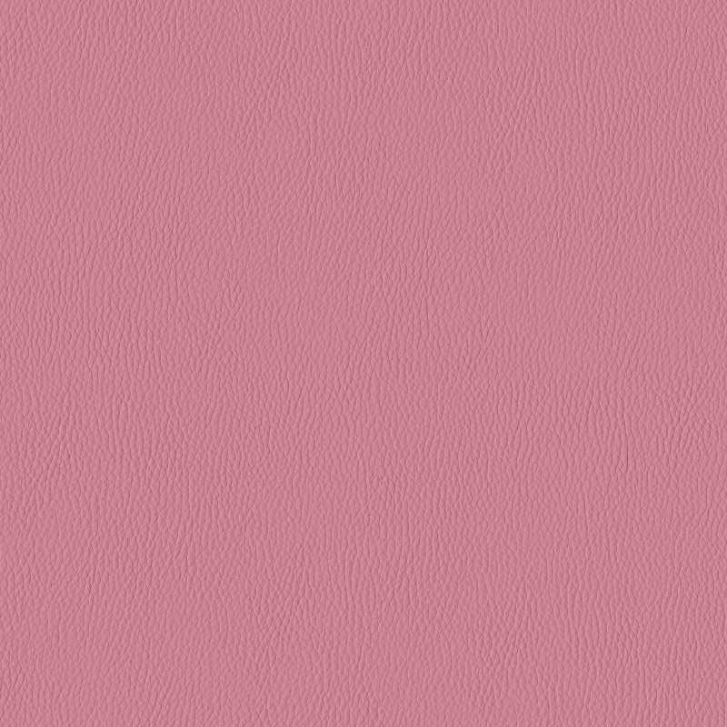 California Rose