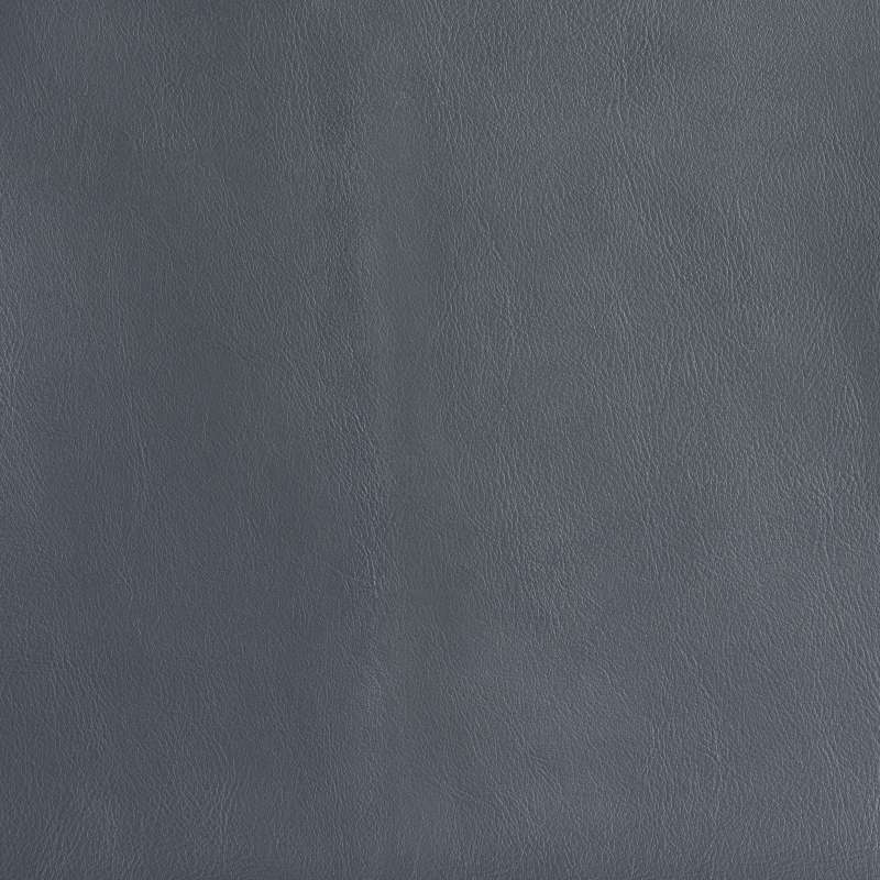 Montana Grizzly Gray