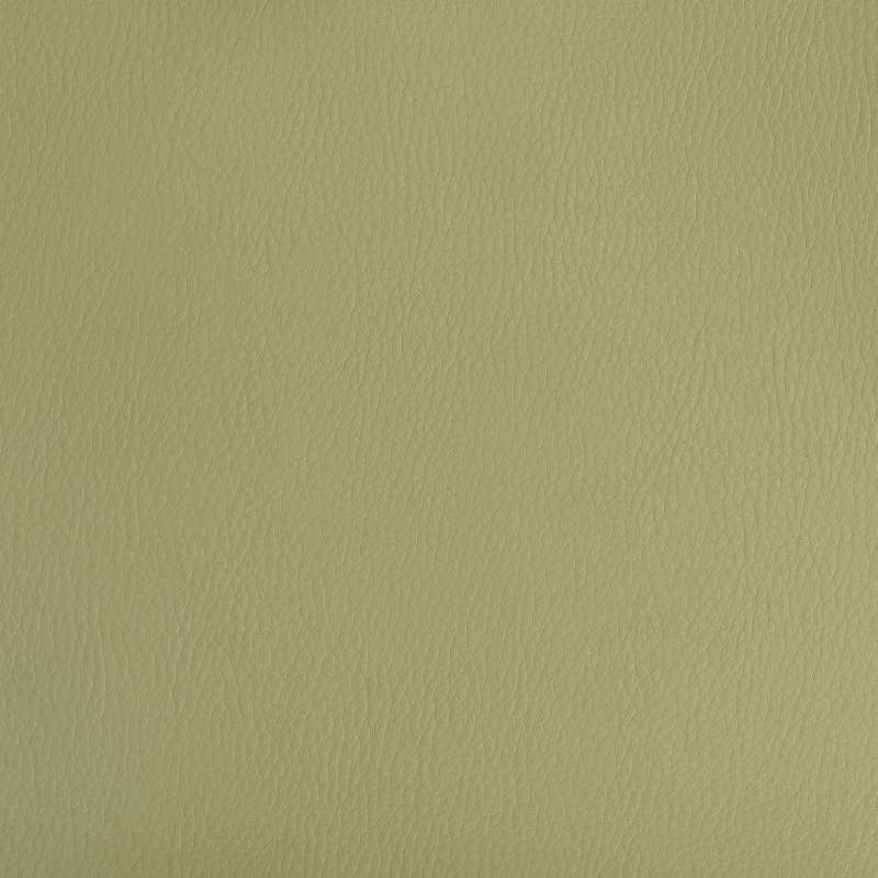 California Olive