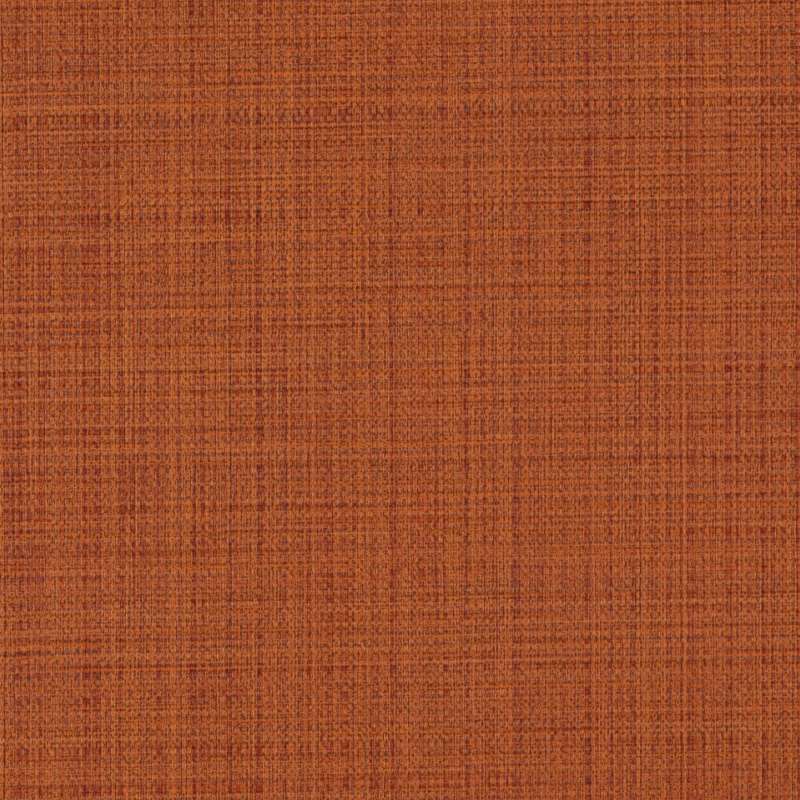 Lyric Persimmon