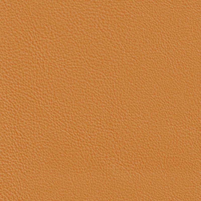 Lena Leather Butterscotch