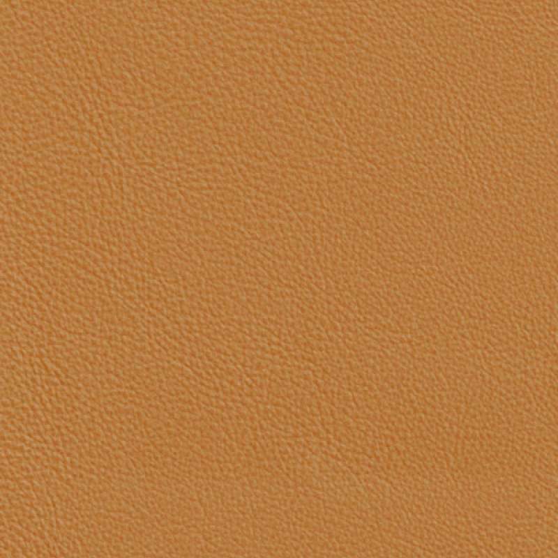 Lena Leather Camel