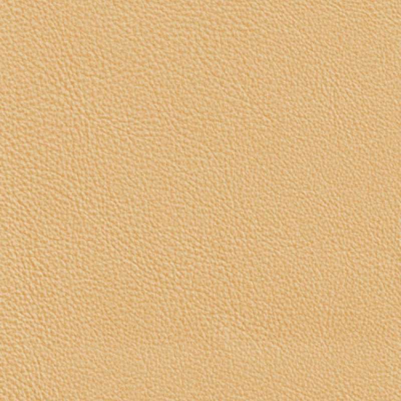 Lena Leather Putty