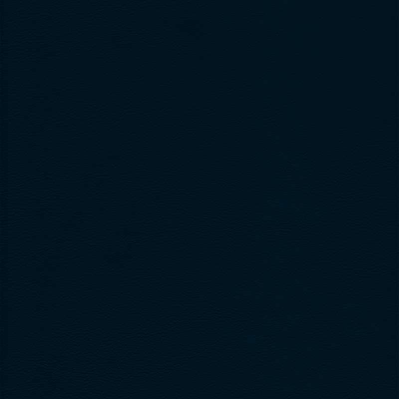 Lena Leather Navy