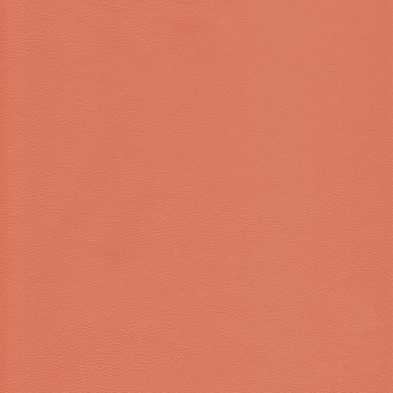Lena Leather Blush