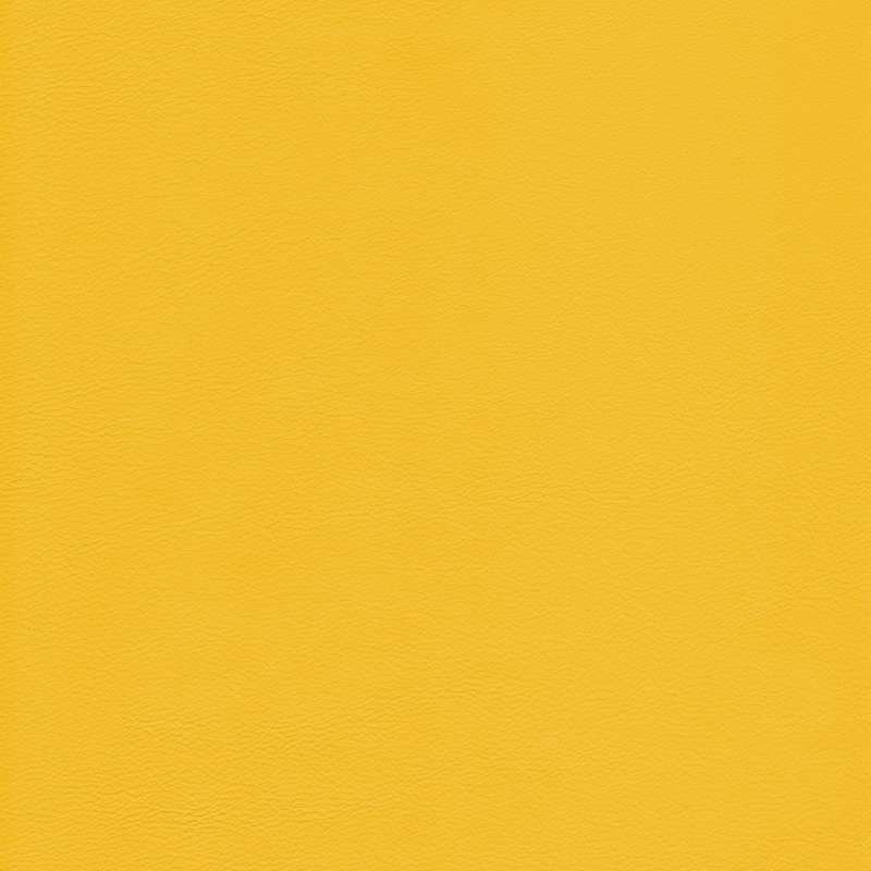 Lena Leather Canary