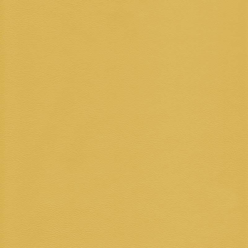 Lena Leather Limone