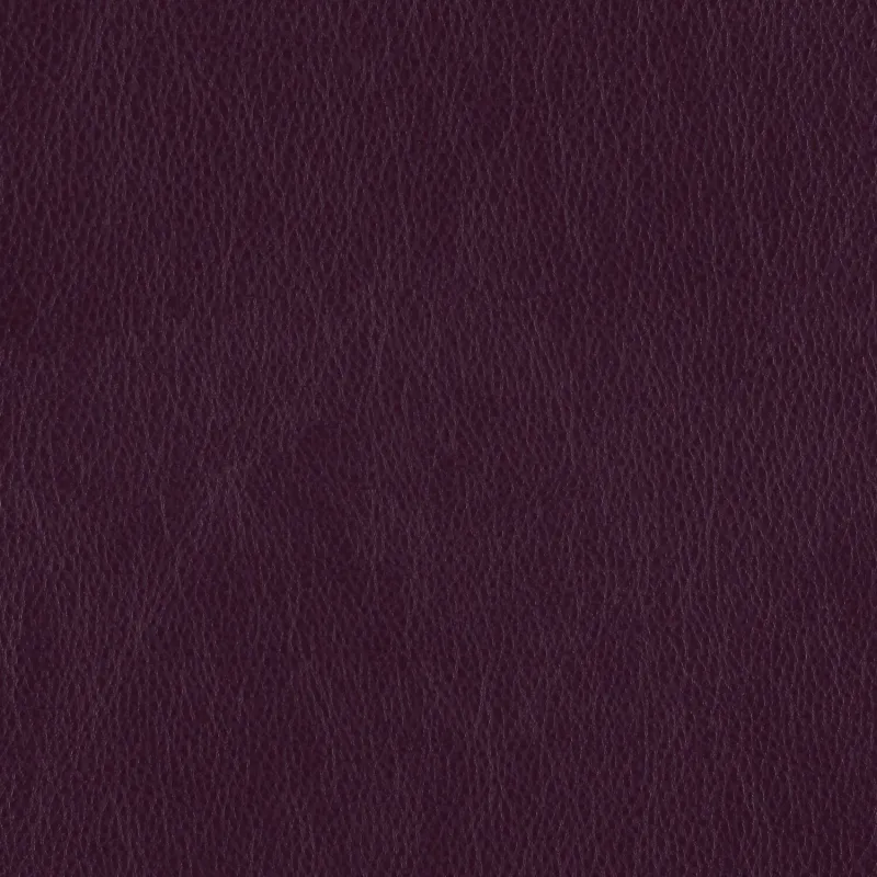 Decoy Figment