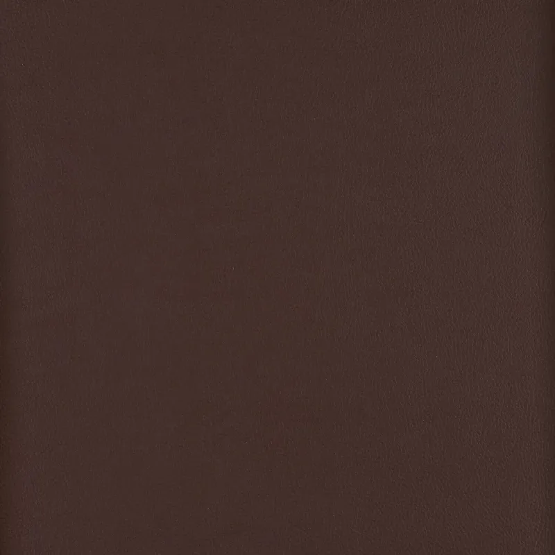 Top Coat Aniline