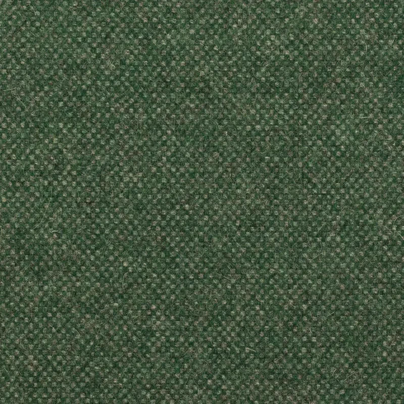 Ellwood Ivy