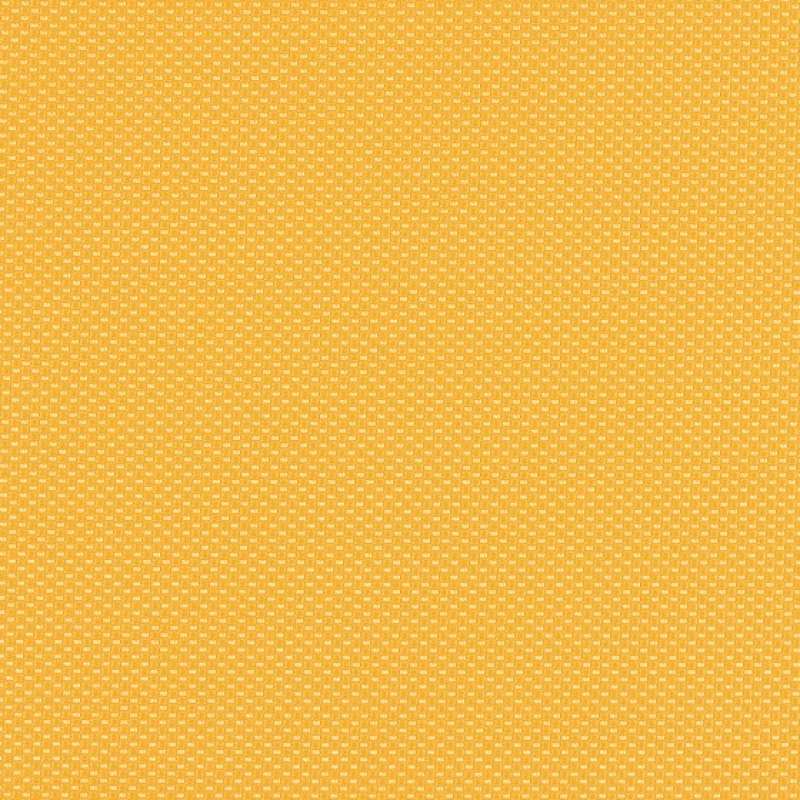 Aspect Mango