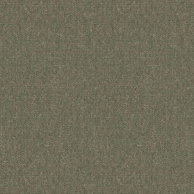 Album Spruce