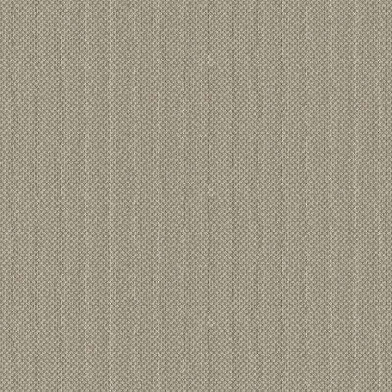 Cadence Wheatear