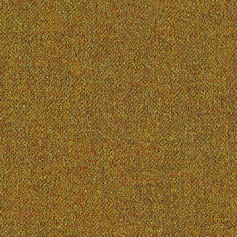 Gale Variegated