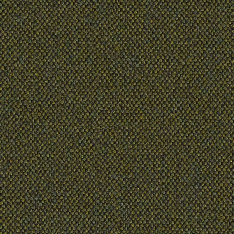 Main Line Flax Kentish