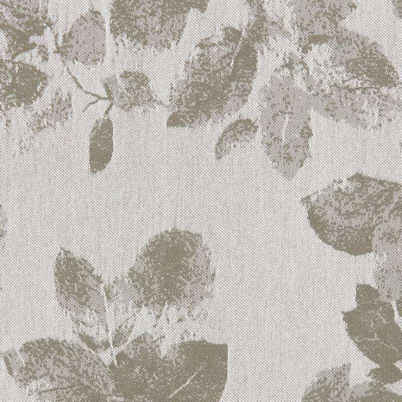 Canopy Diffuse