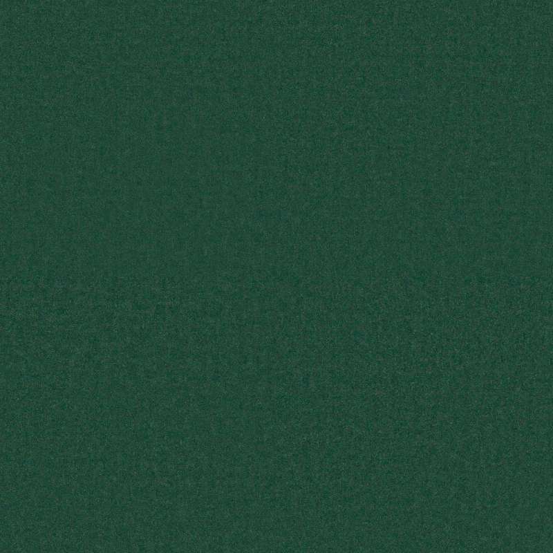 Cotton Velvet Pioneer