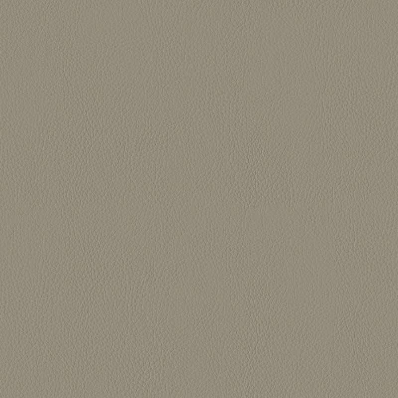 Instill Koala