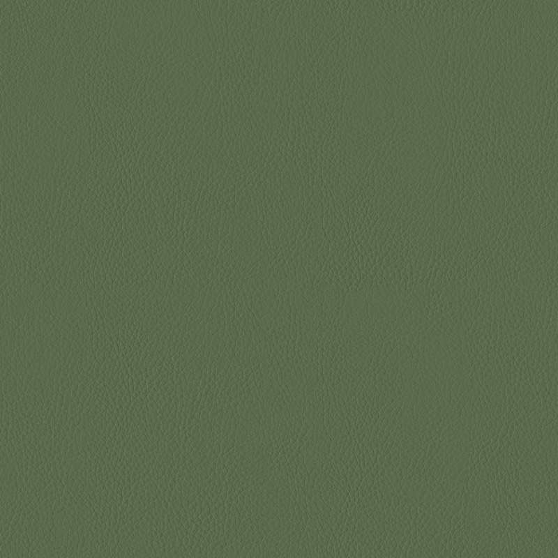 Instill Arboreous