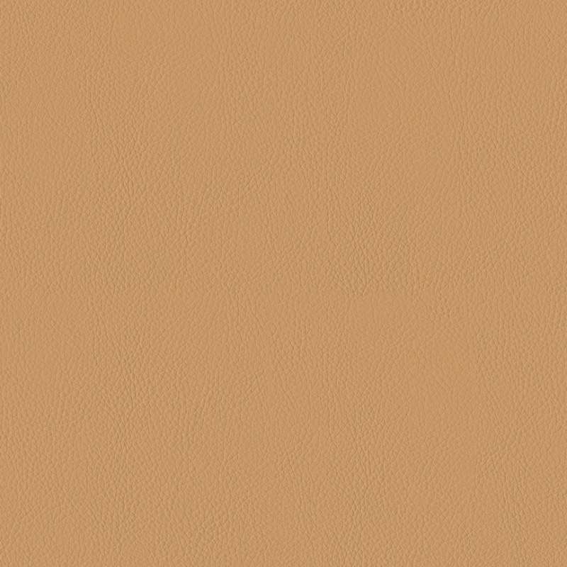 Instill Latte