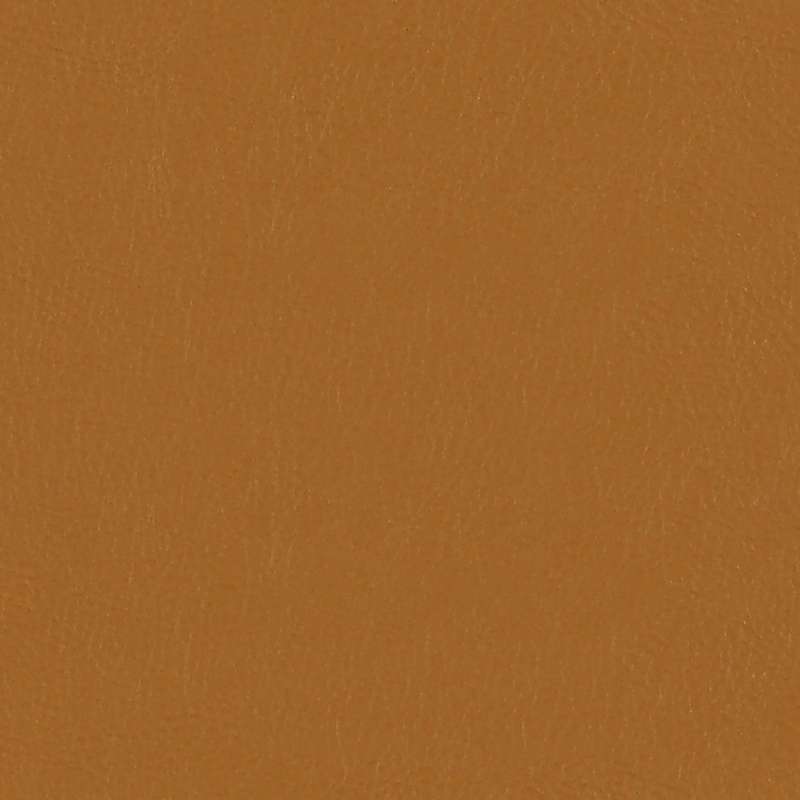 Lariat Camel