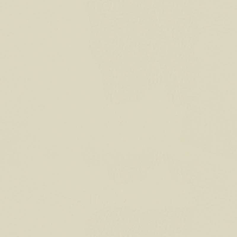 Lariat Ivory