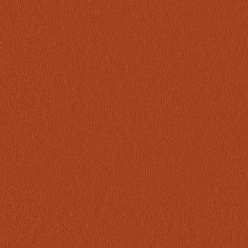 Lariat Auburn