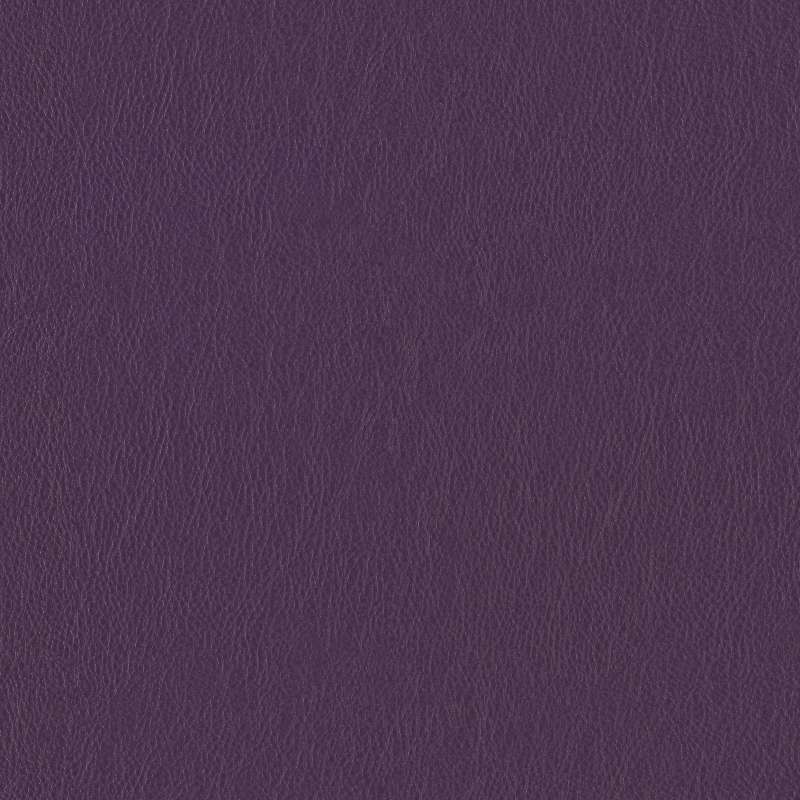 Lariat Plum