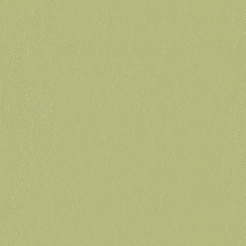 Lariat Cucumber