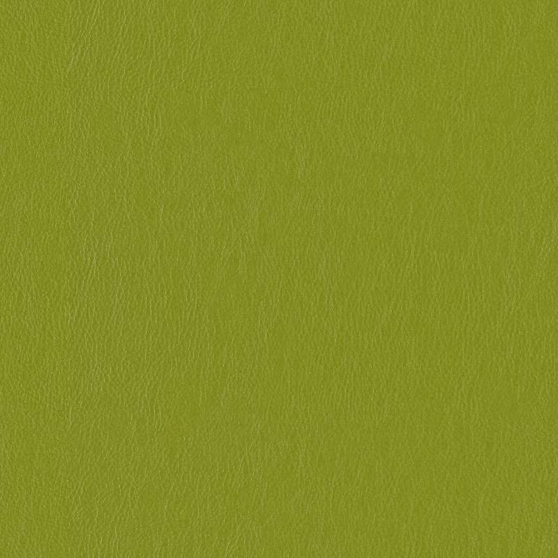 Lariat Reptile