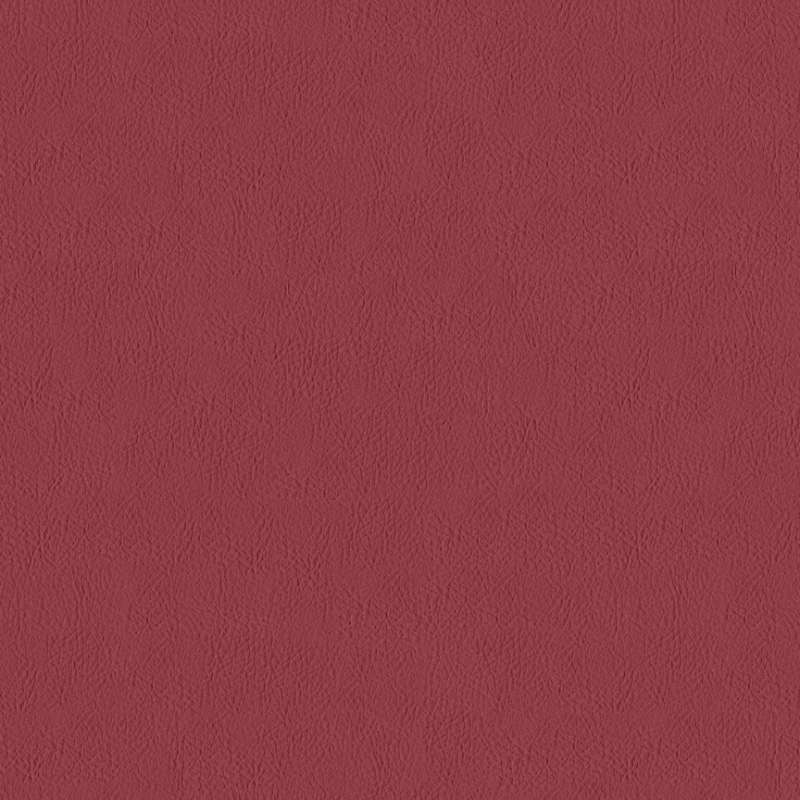 Lariat Holly