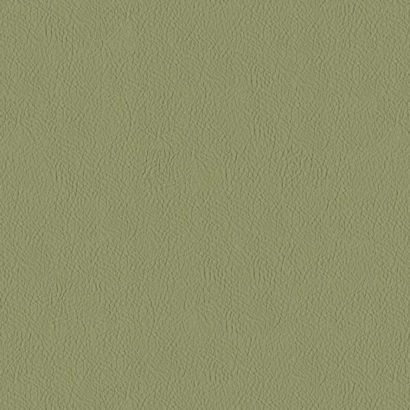 Lariat Purslane