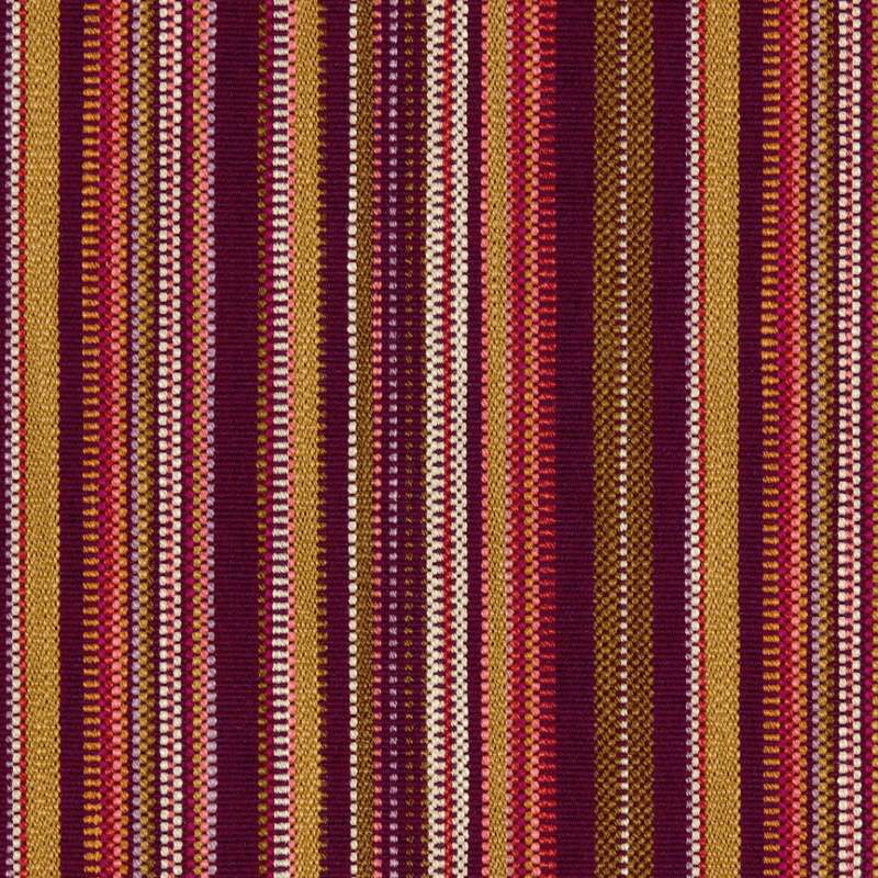 Metered Stripe Fritillary