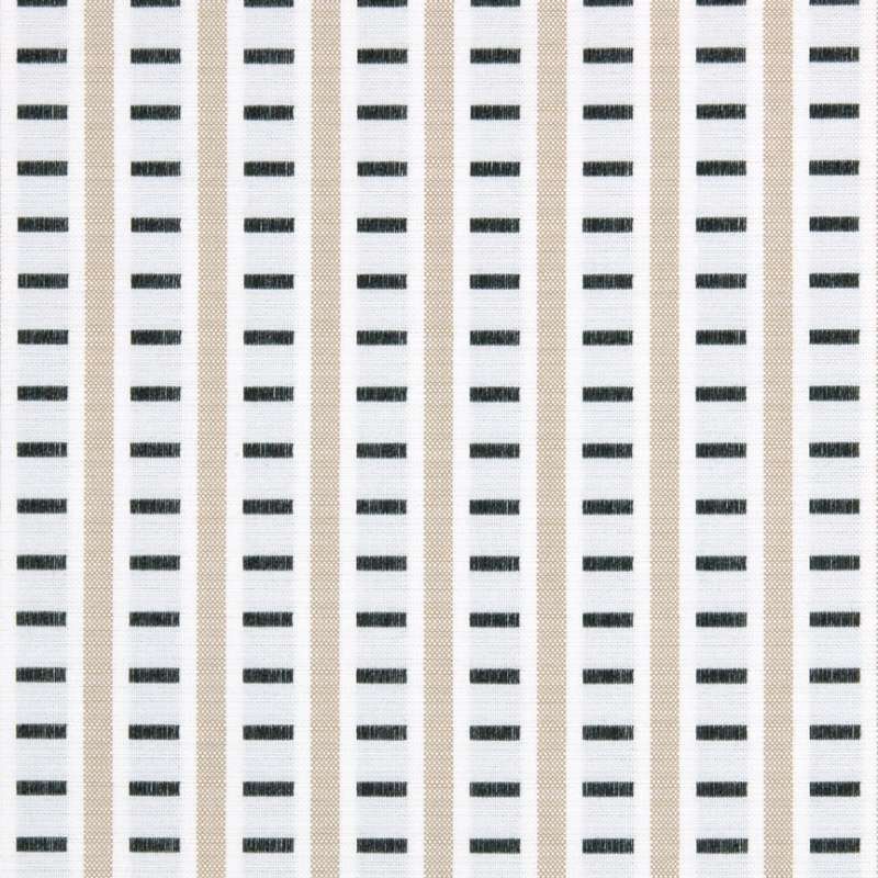 Mexidot Raw Umber And Black