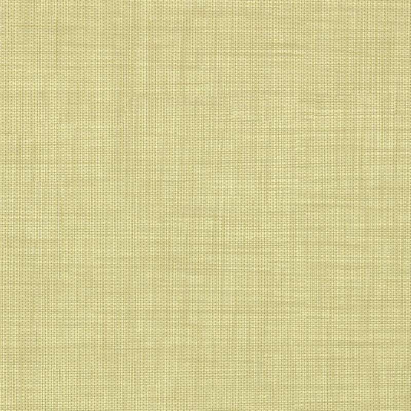 Nimble Meadowfoam