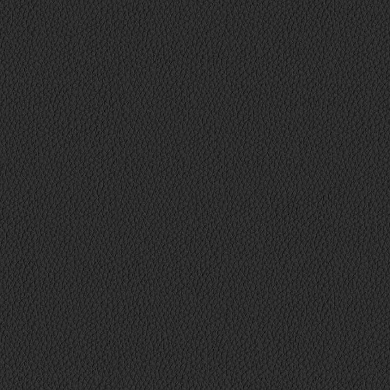 Raise Leather Black