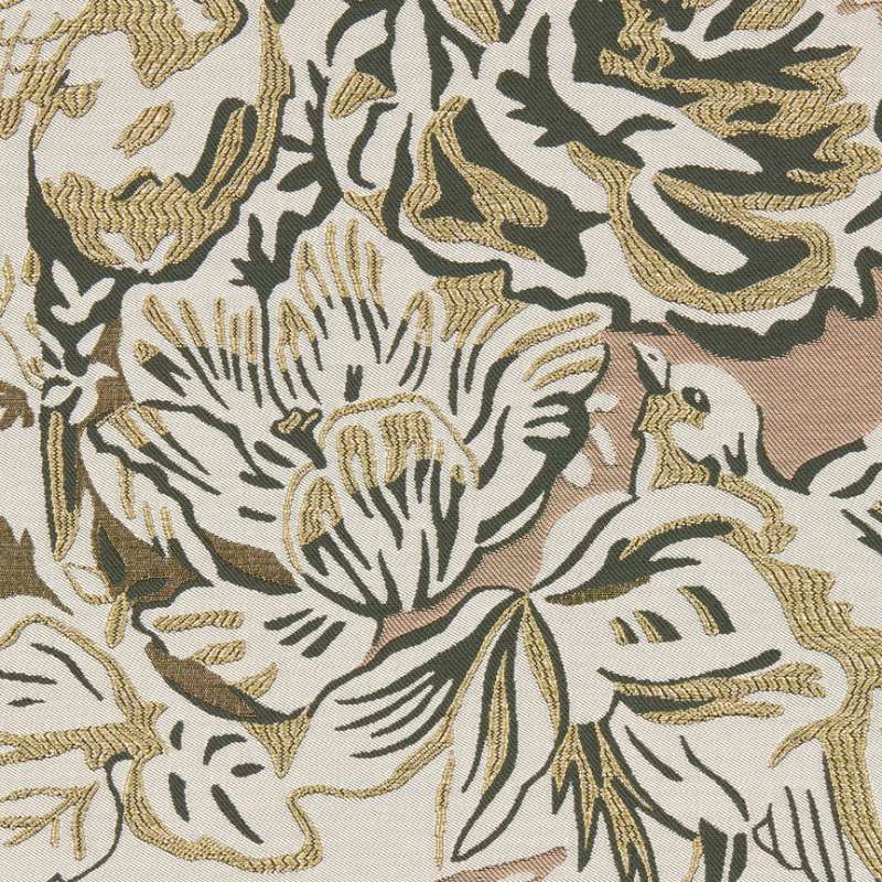 Songbird Wren