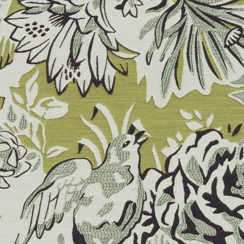 Songbird Finch