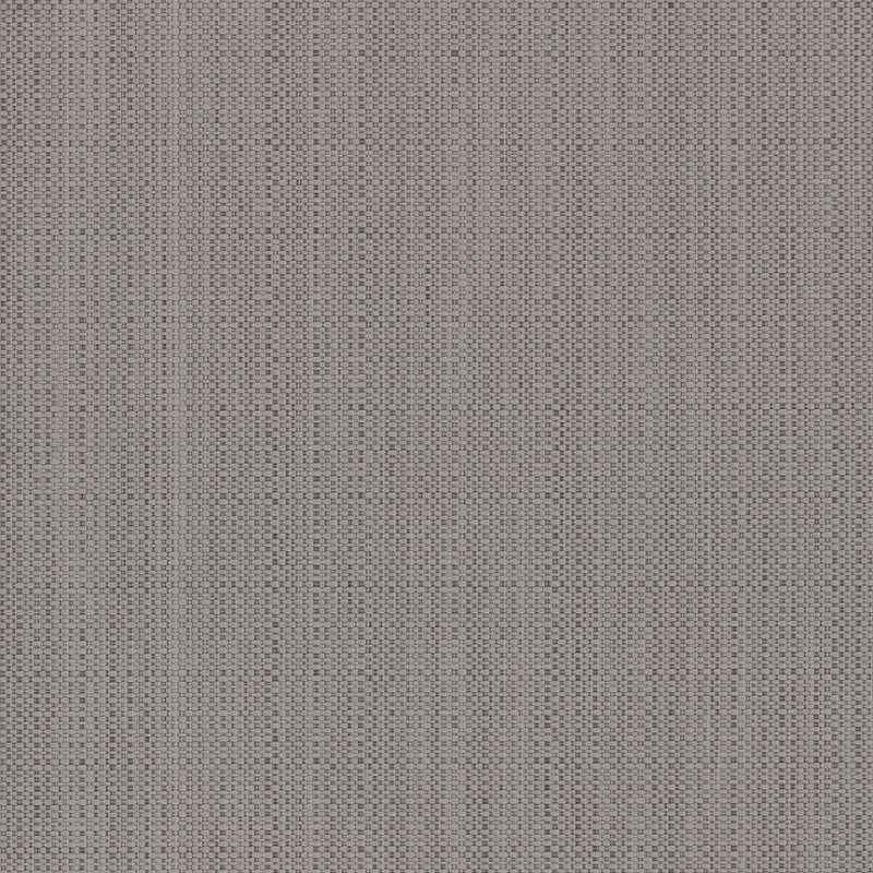 Switch Titanium