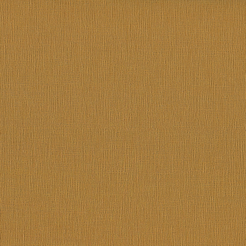 Masiala Beachgrass