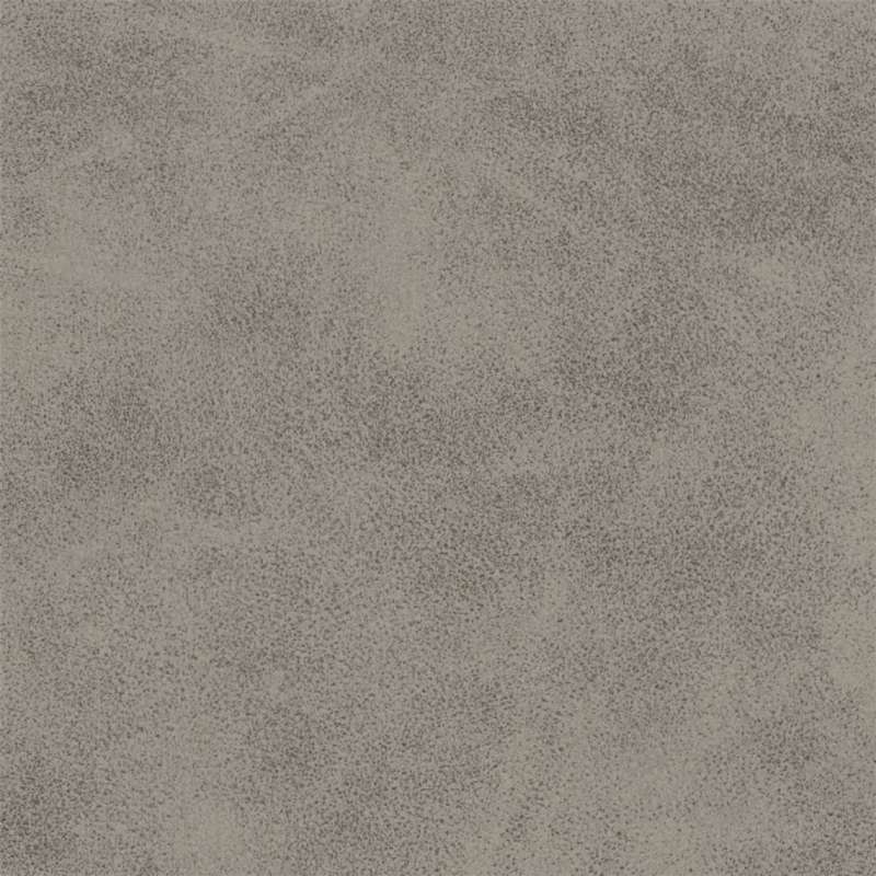 Mcqueen Silver Dollar