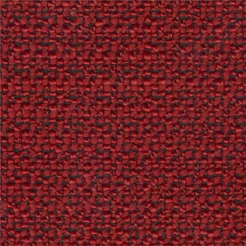 Merchant Cherry