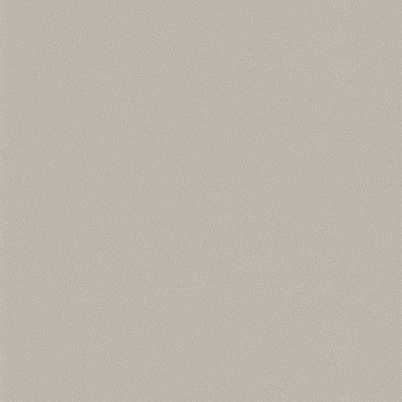 Merinos Pearl Leather Champagne