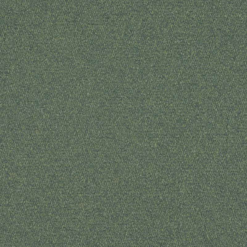 Mesa Lichen