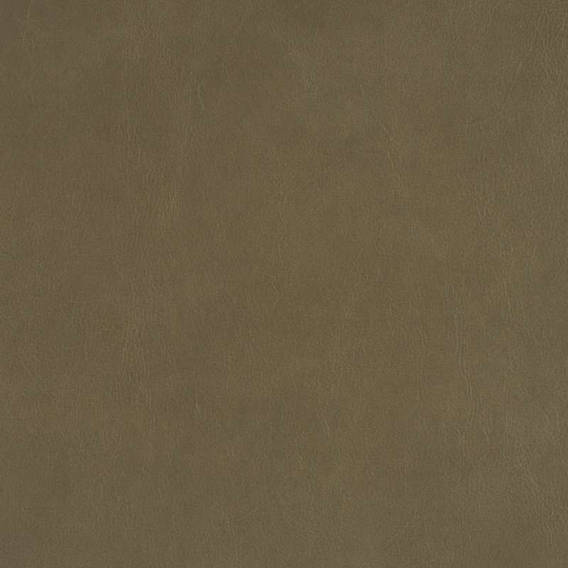 Modern Patina Leather Weathered Wood