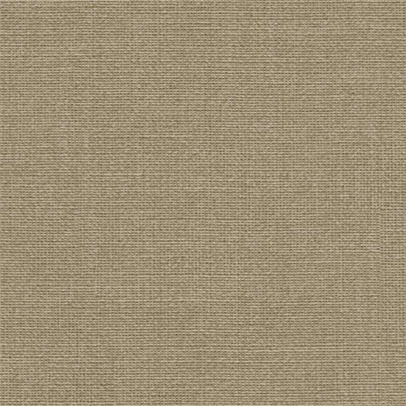 Muslin Fossil