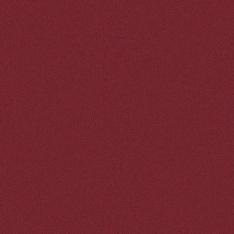 Nomad Beet