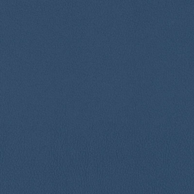 Noble Indigo