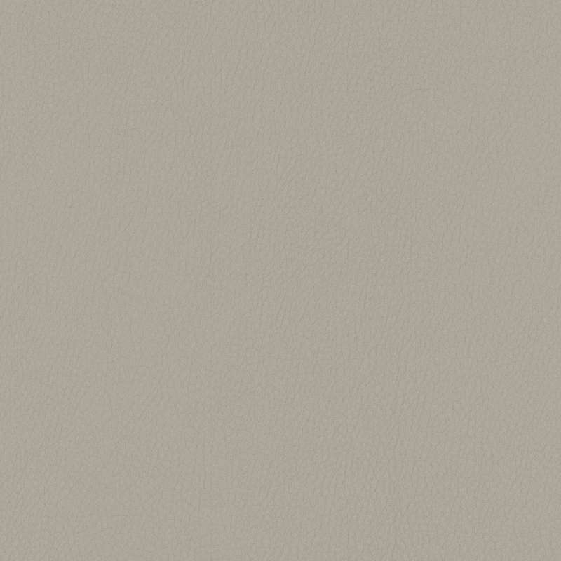 Noble Dove