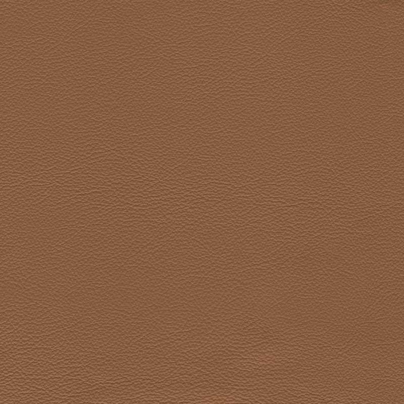 Safari Signature Sier